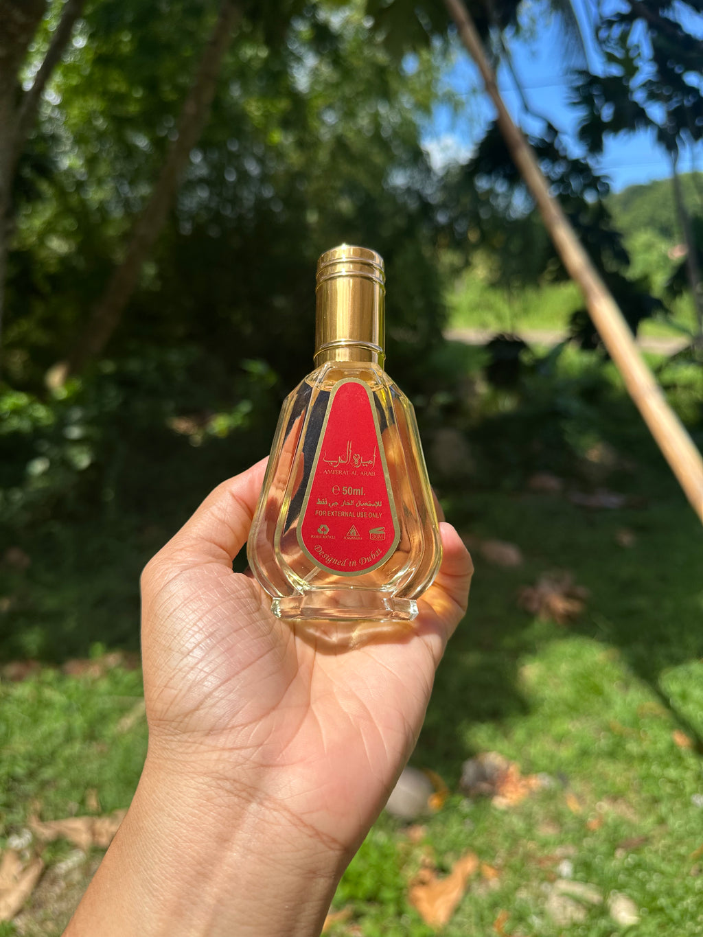 Ameerat Al Arab✨